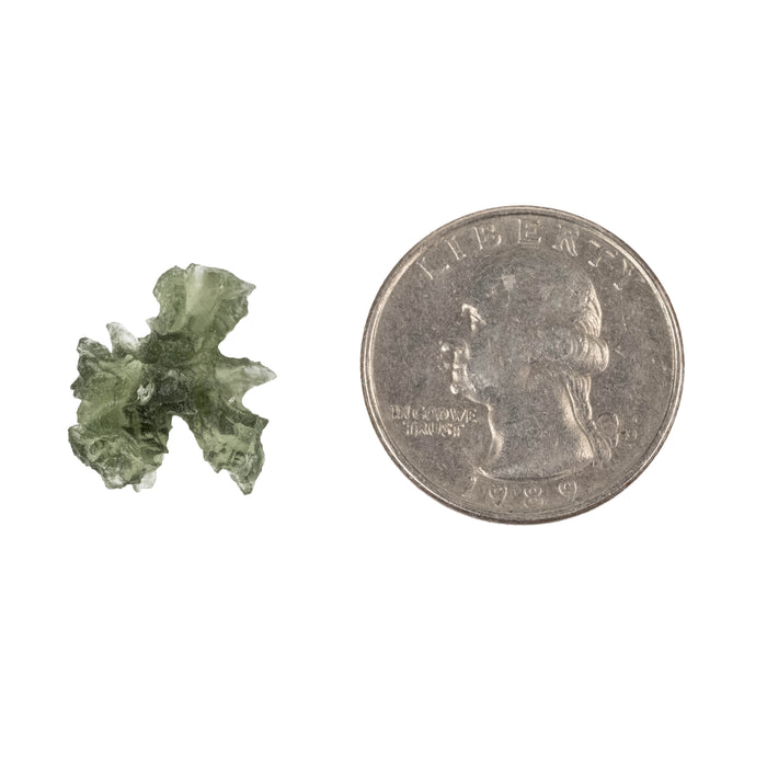 Moldavite Besednice Jezkovna AA 1.25 g 19x14x10mm