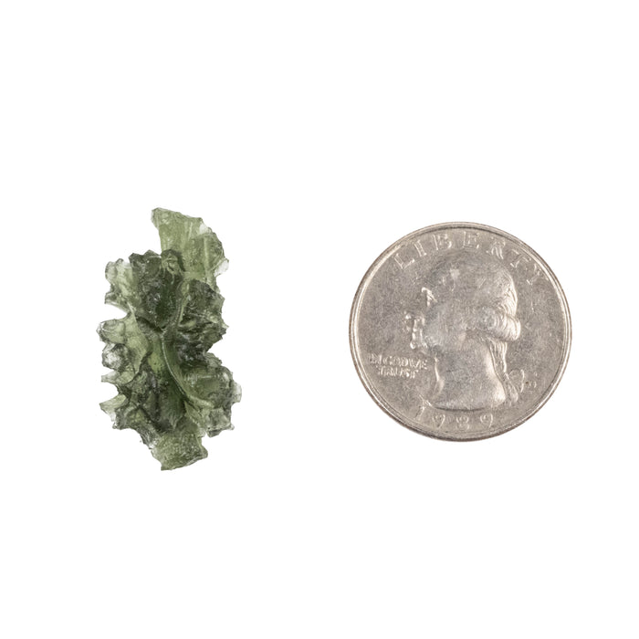 Moldavite Besednice Jezkovna AA 3.12 g 27x15x12mm