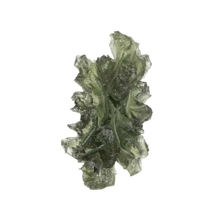 Moldavite Besednice Jezkovna AA 3.12 g 27x15x12mm