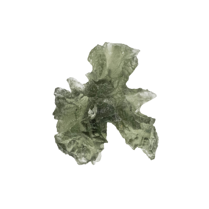 Moldavite Besednice Jezkovna AA 1.25 g 19x14x10mm
