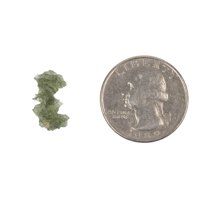 Moldavite Besednice Jezkovna AA 0.75 g 16x9x9mm