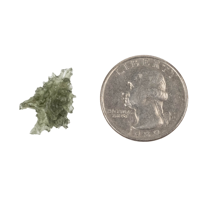 Moldavite Besednice Jezkovna AA 0.95 g 21x14x6mm