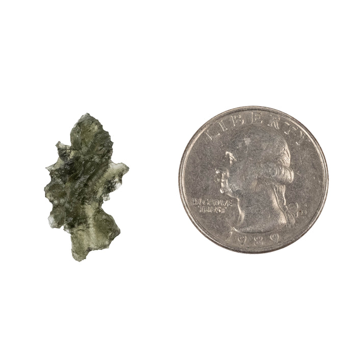 Moldavite Besednice Jezkovna AA 1.31 g 23x13x7mm