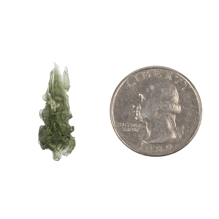 Moldavite Besednice Jezkovna AA 1.15 g 25x9x8mm