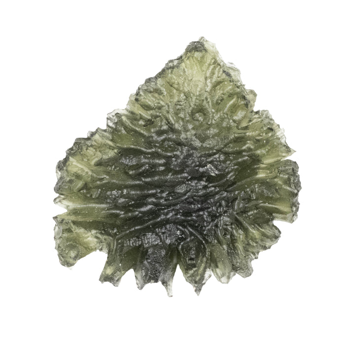 Moldavite Besednice Jezkovna 9.13 g 37x30x8mm AA+