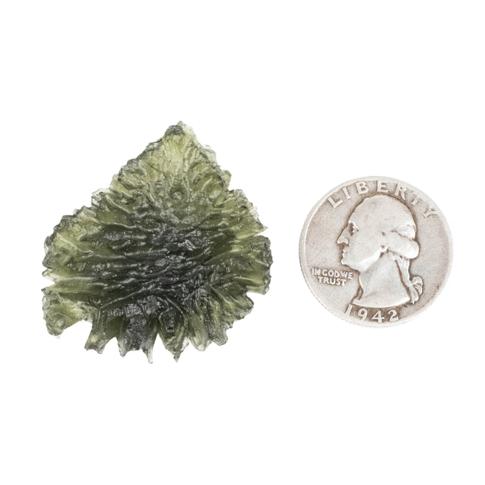 Moldavite Besednice Jezkovna 9.13 g 37x30x8mm AA+