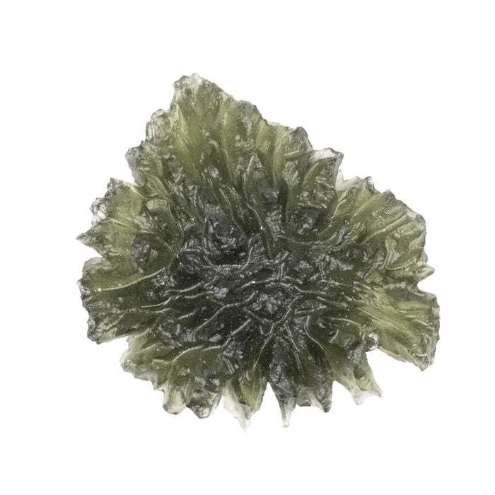 Moldavite Besednice Jezkovna 9.13 g 37x30x8mm AA+