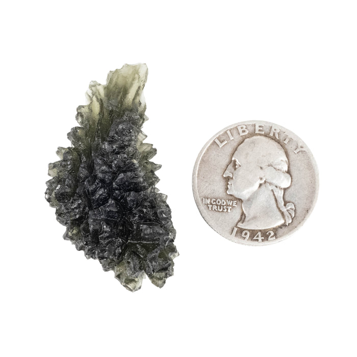 Moldavite Besednice Jezkovna 13.15 g 45x21x19mm AA