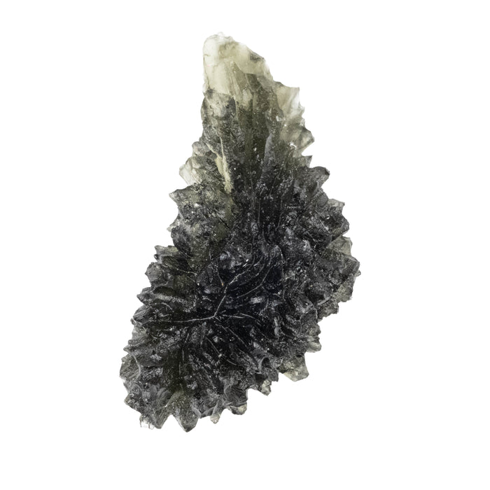 Moldavite Besednice Jezkovna 13.15 g 45x21x19mm AA