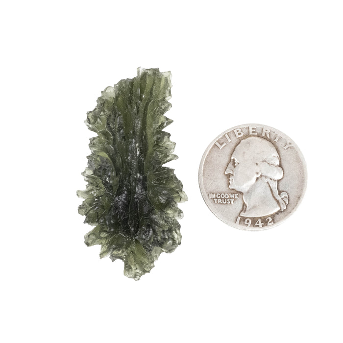 Moldavite Besednice Jezkovna 10.58 g 45x25x13mm AA