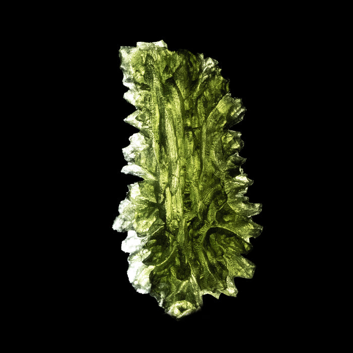 Moldavite Besednice Jezkovna 10.58 g 45x25x13mm AA
