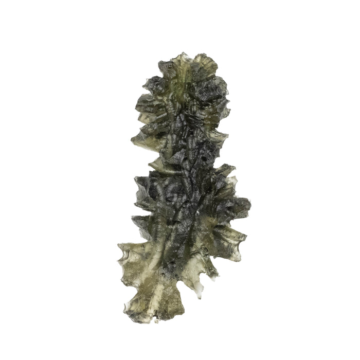 Moldavite Besednice Jezkovna 4.84 g 45x20x7mm AA+