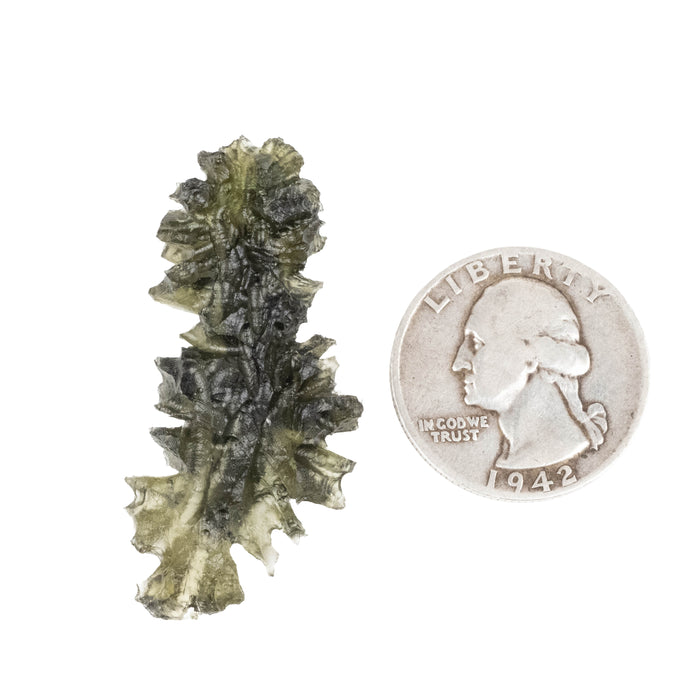Moldavite Besednice Jezkovna 4.84 g 45x20x7mm AA+