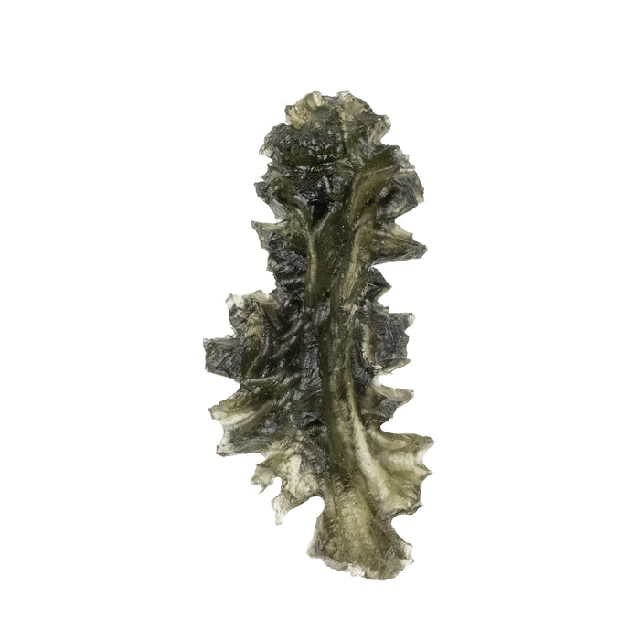 Moldavite Besednice Jezkovna 4.84 g 45x20x7mm AA+