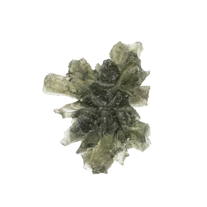 Moldavite Besednice Jezkovna 4.07 g 30x26x10mm AA+