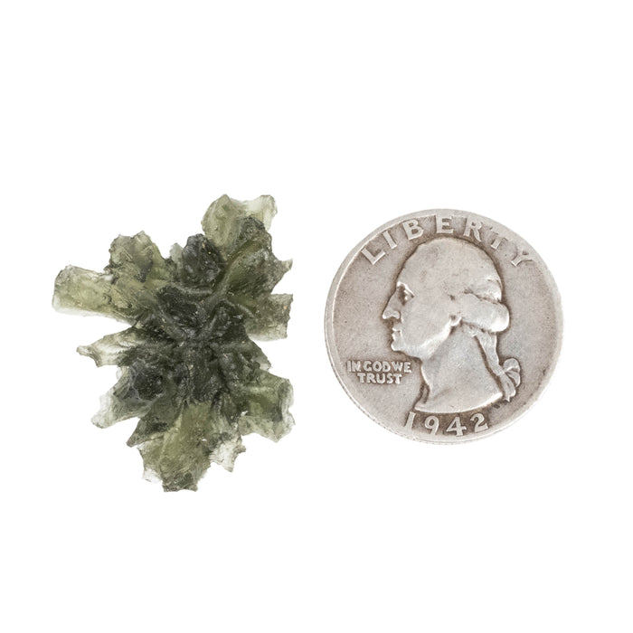 Moldavite Besednice Jezkovna 4.07 g 30x26x10mm AA+