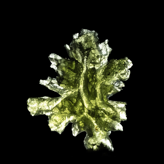 Moldavite Besednice Jezkovna 4.07 g 30x26x10mm AA+