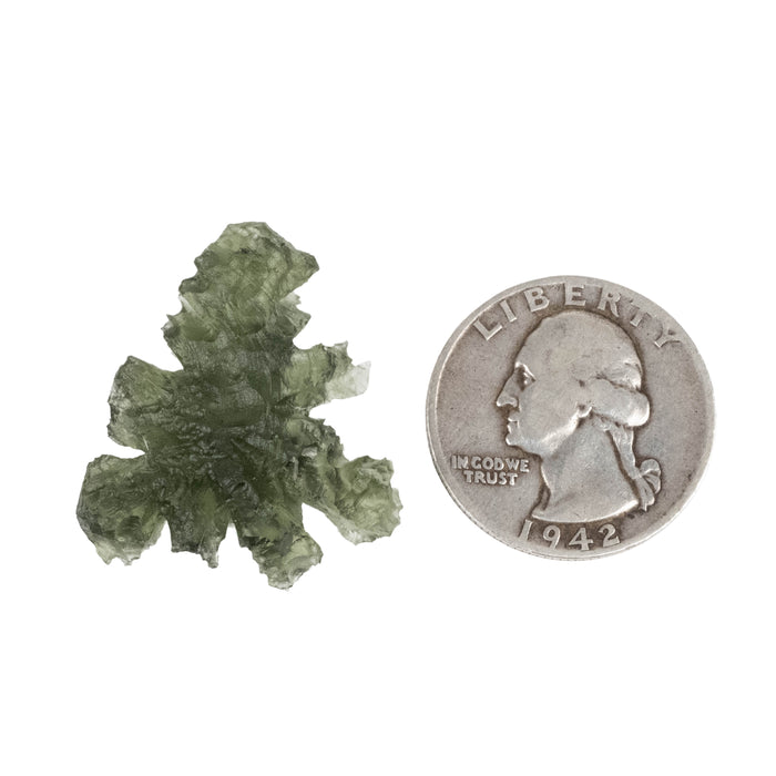 Moldavite Besednice Jezkovna 4.31 g 29x26x10mm AA+