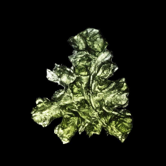 Moldavite Besednice Jezkovna 4.31 g 29x26x10mm AA+