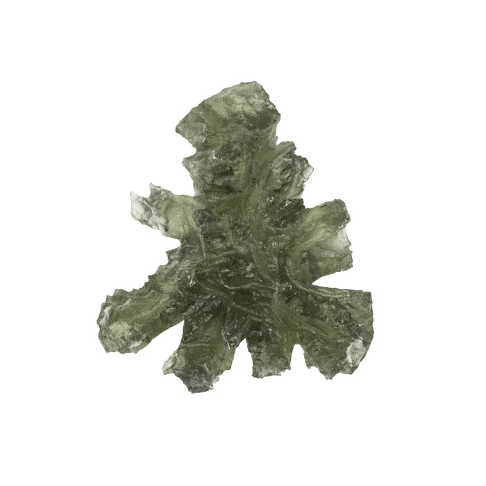 Moldavite Besednice Jezkovna 4.31 g 29x26x10mm AA+