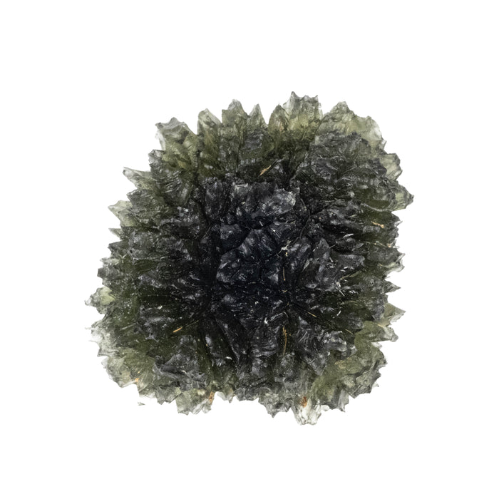 Moldavite Besednice Jezkovna 29.11 g 39x35x23mm A++