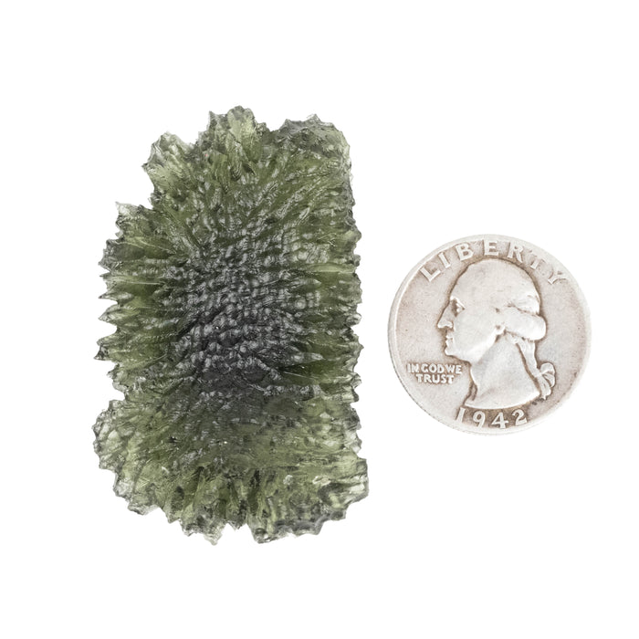 Moldavite Besednice Jezkovna 20.67 g 49x31x10mm AA