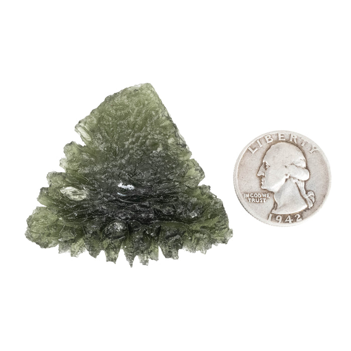 Moldavite Besednice Jezkovna 19.92 g 49x46x12mm AA
