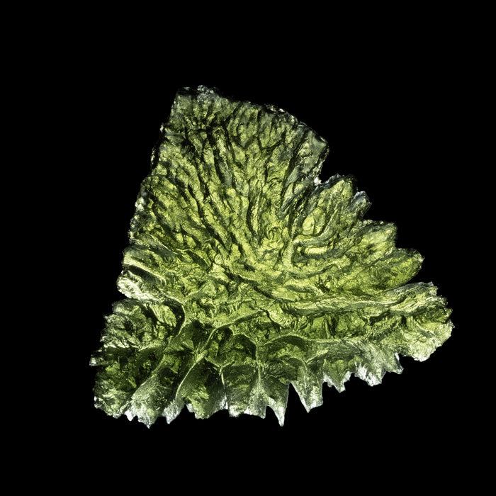 Moldavite Besednice Jezkovna 19.92 g 49x46x12mm AA