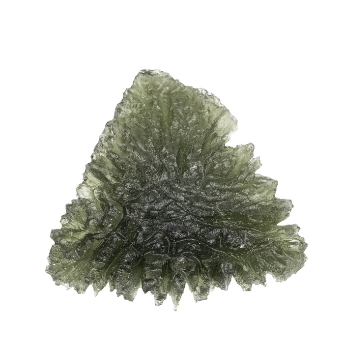 Moldavite Besednice Jezkovna 19.92 g 49x46x12mm AA