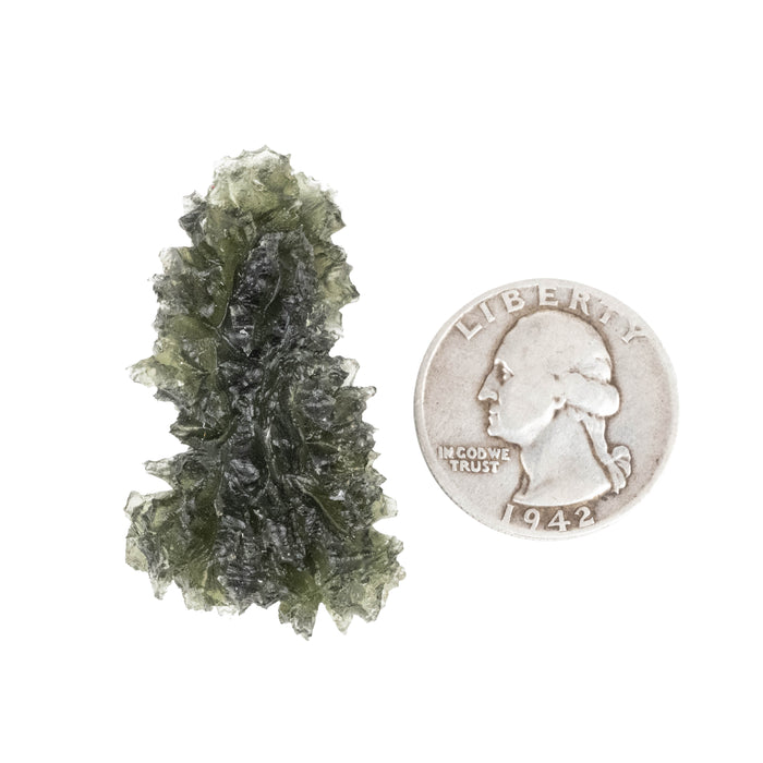 Moldavite Besednice Jezkovna 12.20 g 43x25x18mm A+