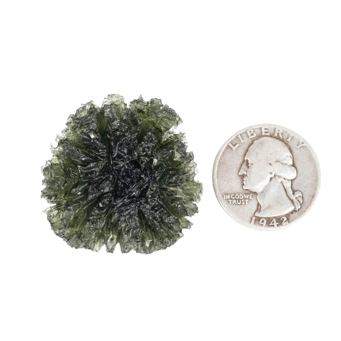 Moldavite Besednice Jezkovna 18.15 g 35x34x18mm AA