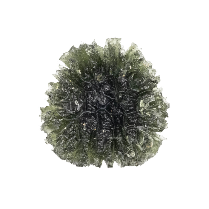 Moldavite Besednice Jezkovna 18.15 g 35x34x18mm AA