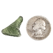 Moldavite 1.64 g 24x15x7mm - InnerVision Crystals