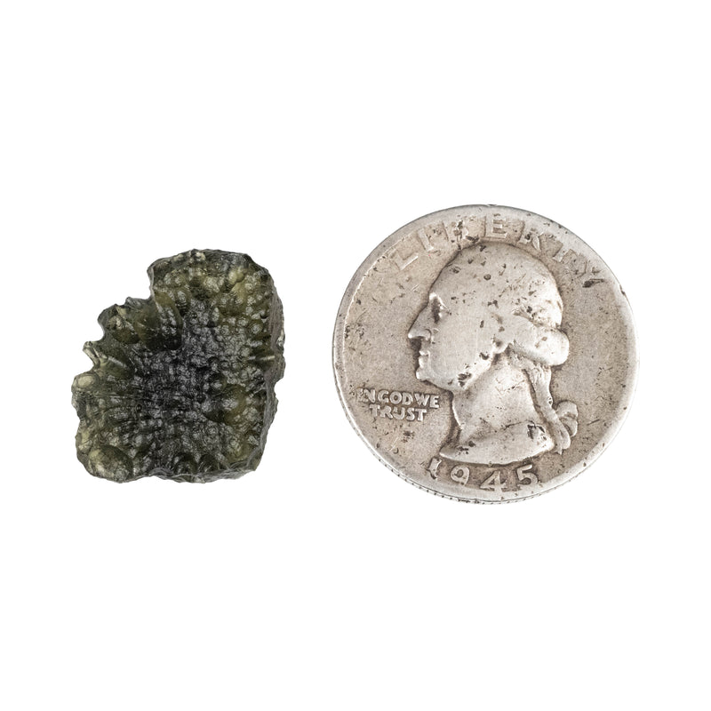 Moldavite 2.27 g 17x16x6mm - InnerVision Crystals
