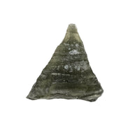 Moldavite 1.40 g 18x12x9mm - InnerVision Crystals