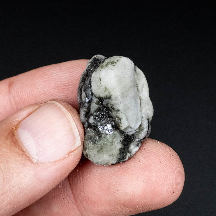 Phenakite 11.72 g 27x20mm