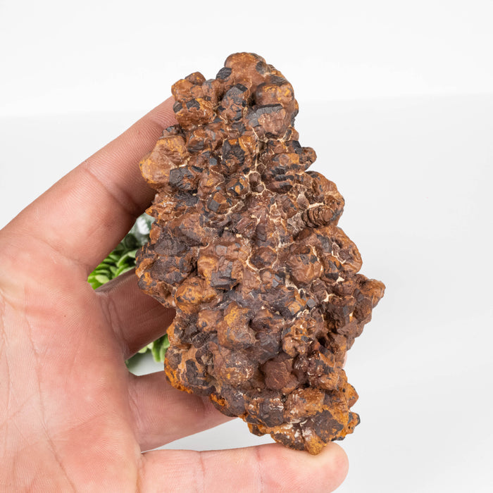 Prophecy Stone 444 g 111x60mm