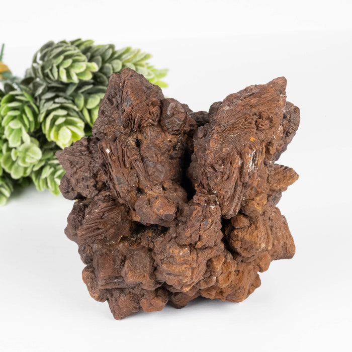 Prophecy Stone 496 g 91x84mm