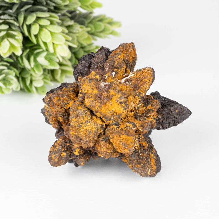 Prophecy Stone 152 g 62x61mm