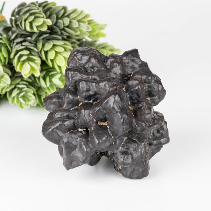 Prophecy Stone 288 g 69x66mm