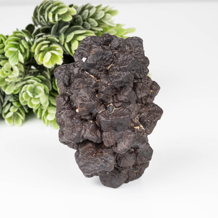 Prophecy Stone 210 g 68x48mm