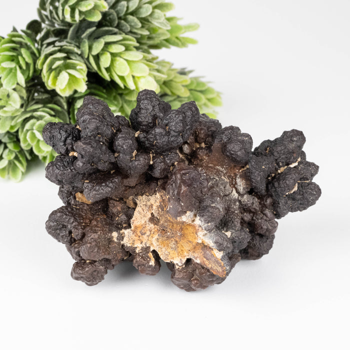 Prophecy Stone 280 g 88x65mm