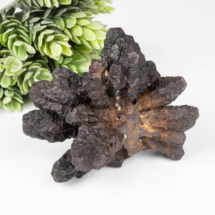Prophecy Stone 204 g 80x63mm