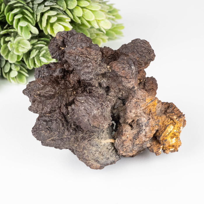 Prophecy Stone 210 g 79x69mm