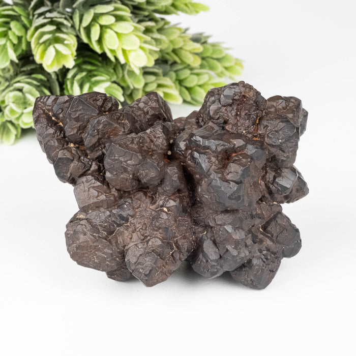Prophecy Stone 256 g 81x56mm