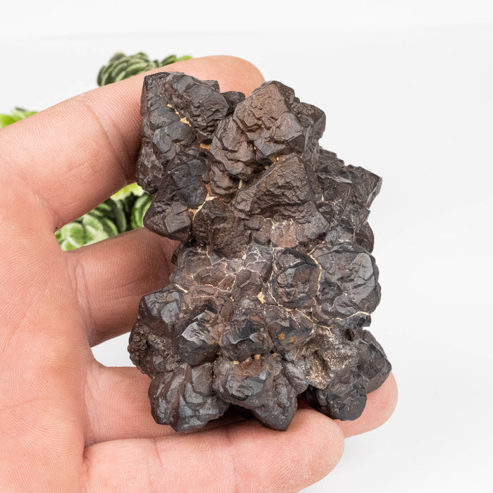 Prophecy Stone 256 g 81x56mm