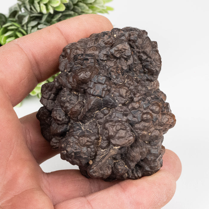 Prophecy Stone 340 g 71x63mm