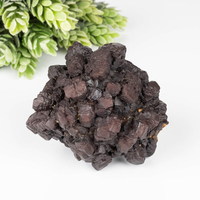 Prophecy Stone 226 g 66x61mm