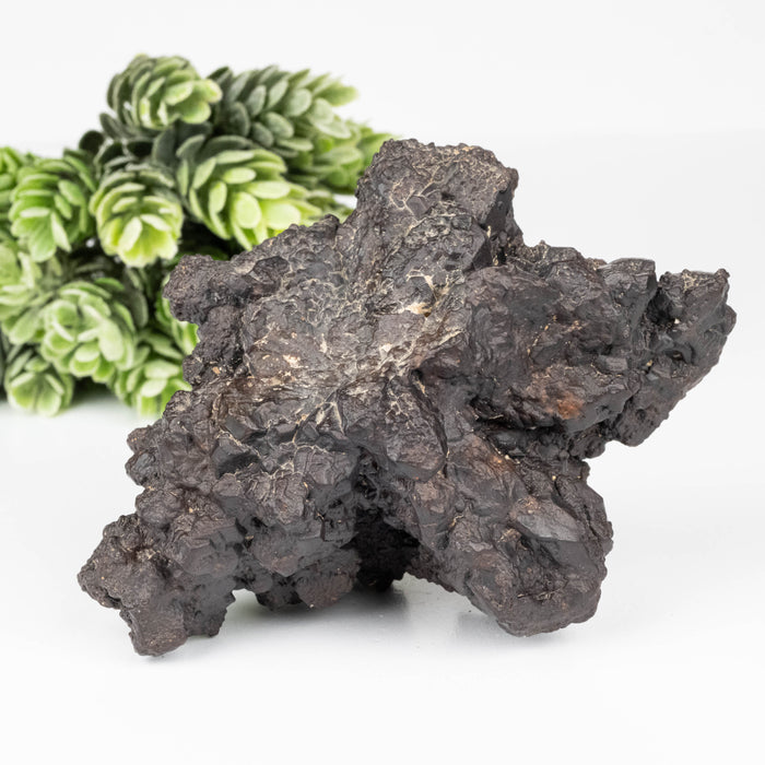 Prophecy Stone 308 g 99x74mm