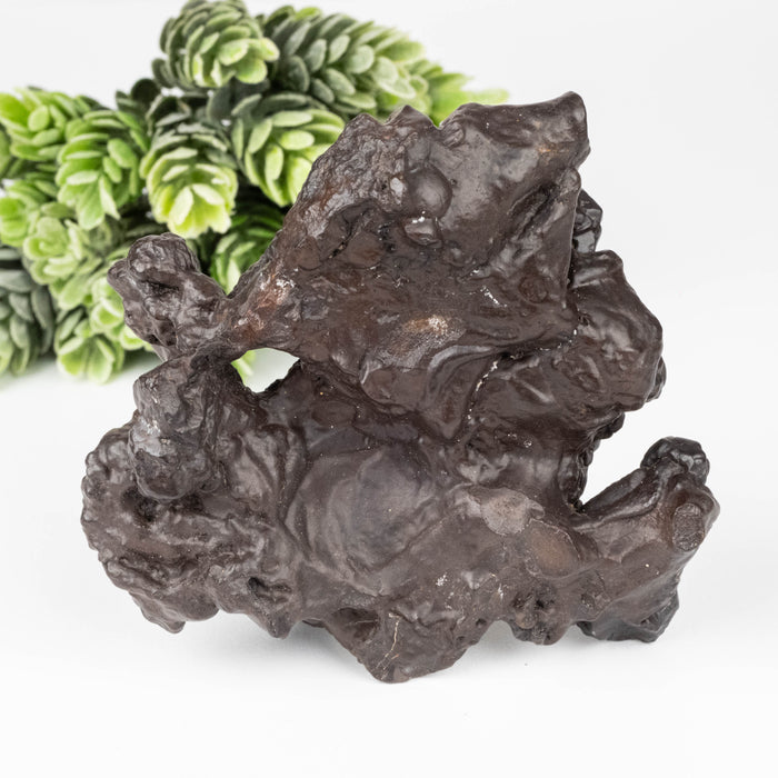 Prophecy Stone 220 g 92x91mm